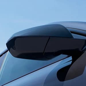 Traditional Physical Side Mirrors