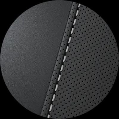 Obsidian Black