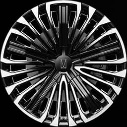 21-inch Beam Multi-Spoke Sport Wheels