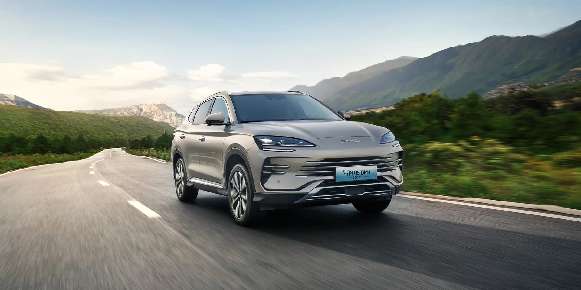 DiPilot Intelligent Driving Assistance System