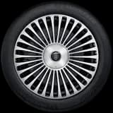 20-inch 30-spoke Starglow Wheel