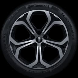 20-inch Twin Five-Spoke Starburst Wheels