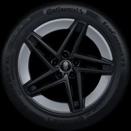 20-inch Windrider Wheels