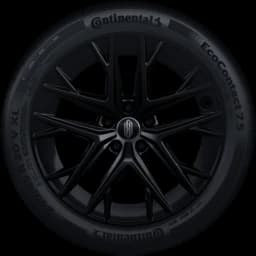 20-inch Twin Five-Spoke Obsidian Wheels