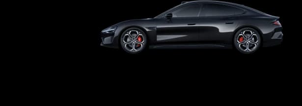 Obsidian Black