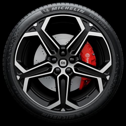20" Plum Blossom Wheels, Long-Range Tires