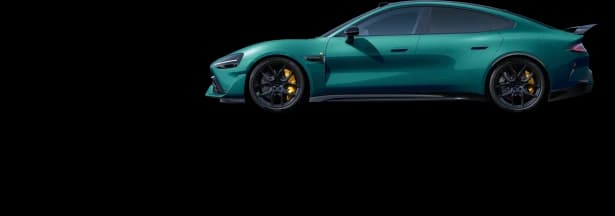 Parrot Green