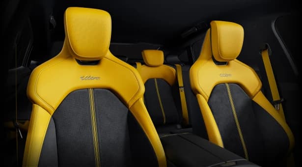 Yellow & Black two-tone