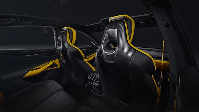 Carbon Fiber Front Seat Backs